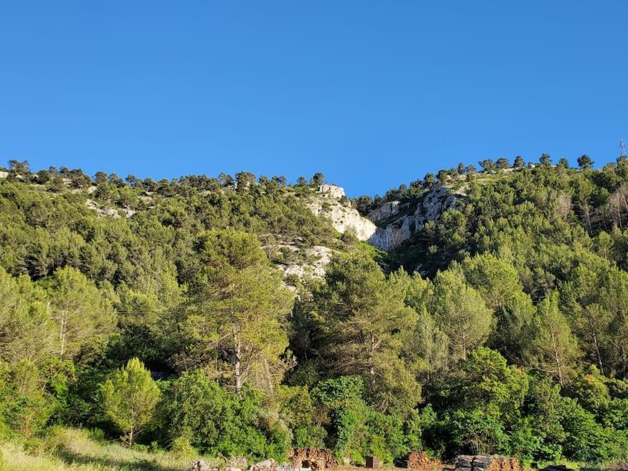 Les Prairies De Fenestrelle Spa & Piscine Au Calme Aubagne Exterior photo